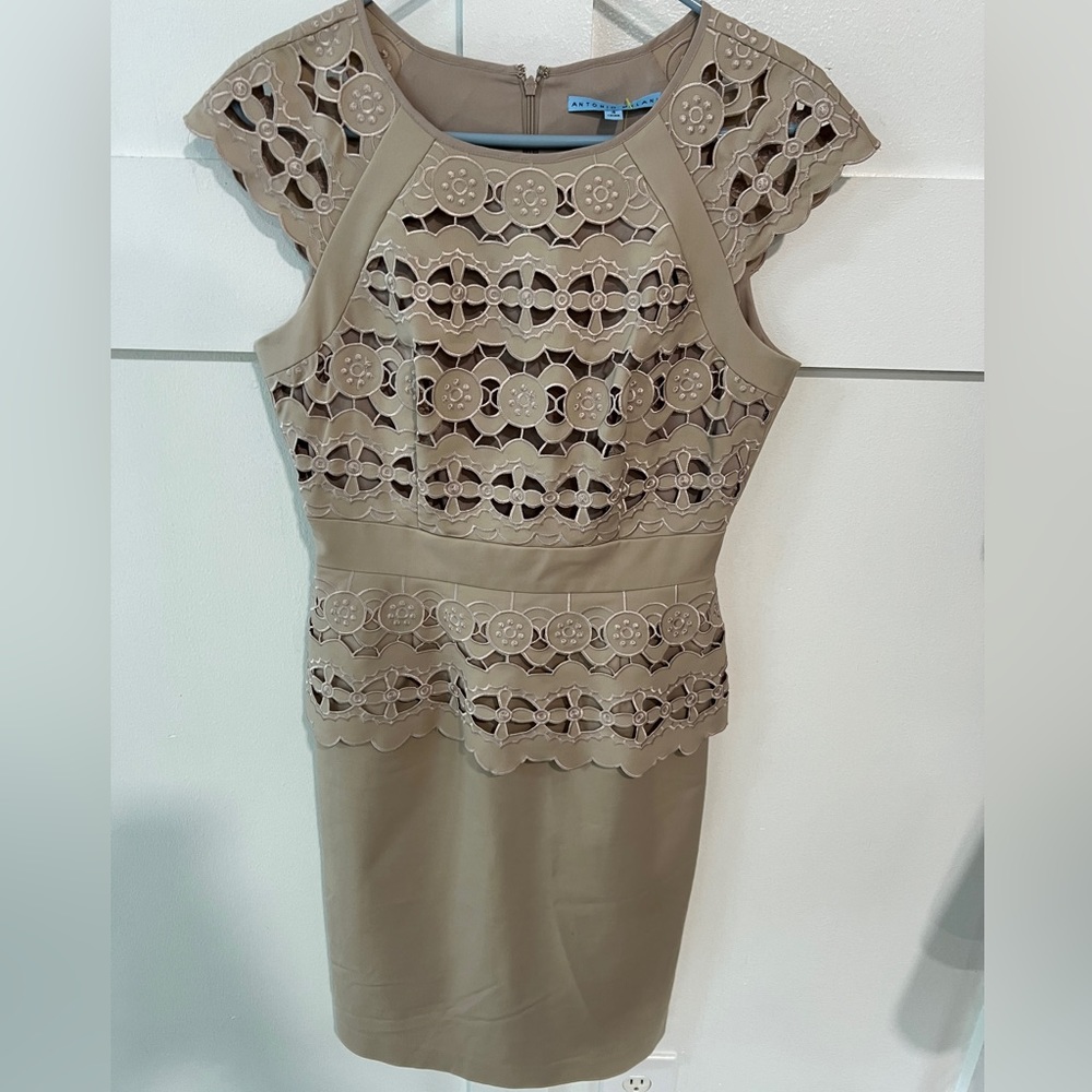 Antonio Melani Peplum Dress